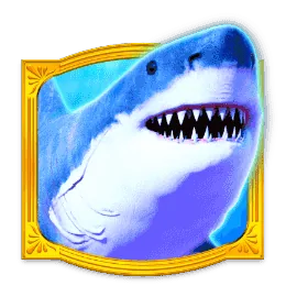 Shark Wild symbol